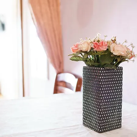 Apartament Krizanovic *