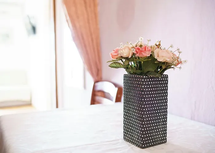 Apartamento Krizanovic *